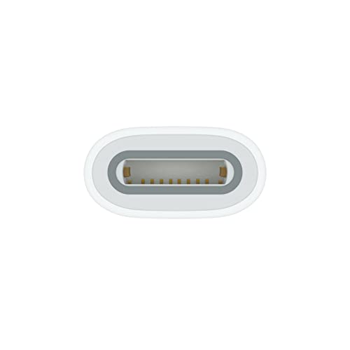 Apple USB-C to Apple Pencil Adapter