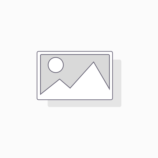 [X0032HUZXB] Macally 2 Zone - 10 Key Bluetooth Number Pad for Mac and PC (Space Gray) - BTNUMKEYPROSG